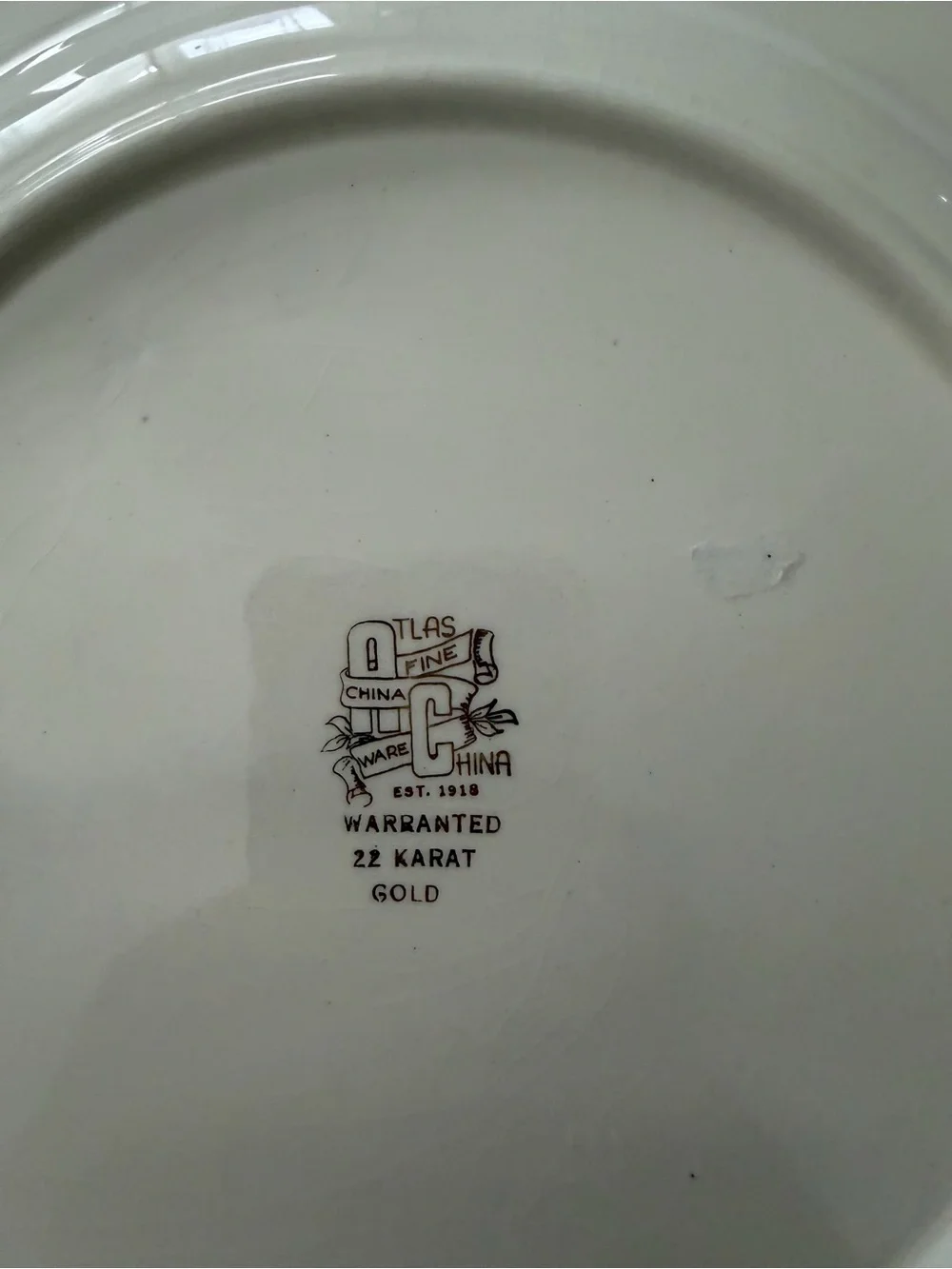 White Porcelain Dinner Plate with Gold Leaf and Floral Center